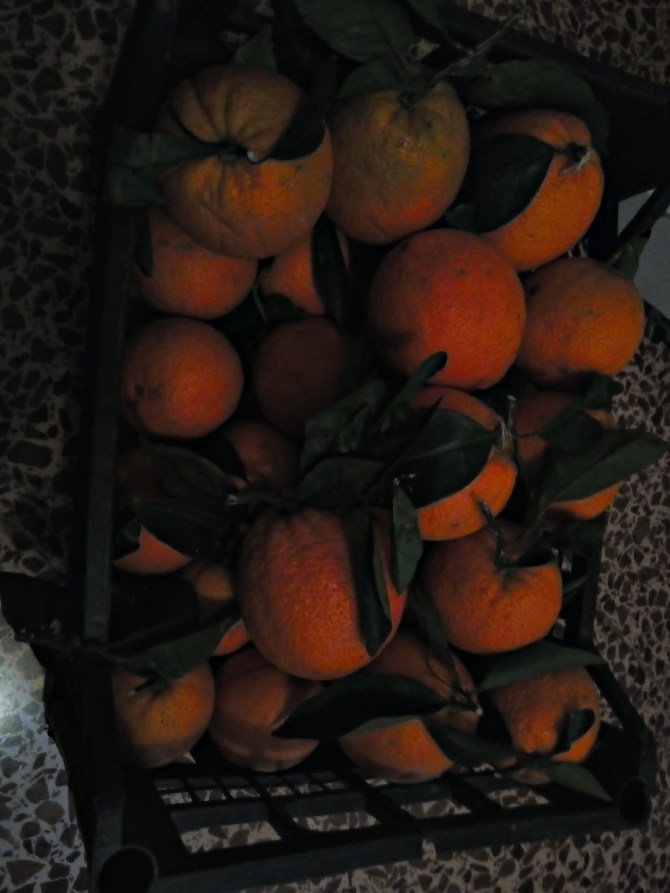 2017-04-08_19-32-16_HDR