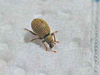 2017-05-16_21-39-49_HDR